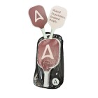 PickleBall Set
